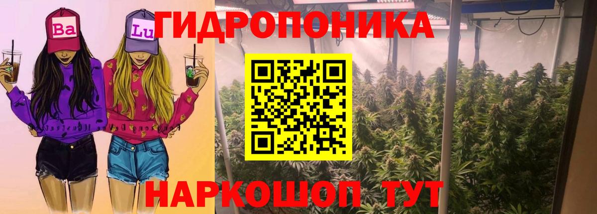 Муром  Бошки Шишки Ganja  Конопля конопля  Шишки марихуана SATIVA & INDICA  Вход с VPN 